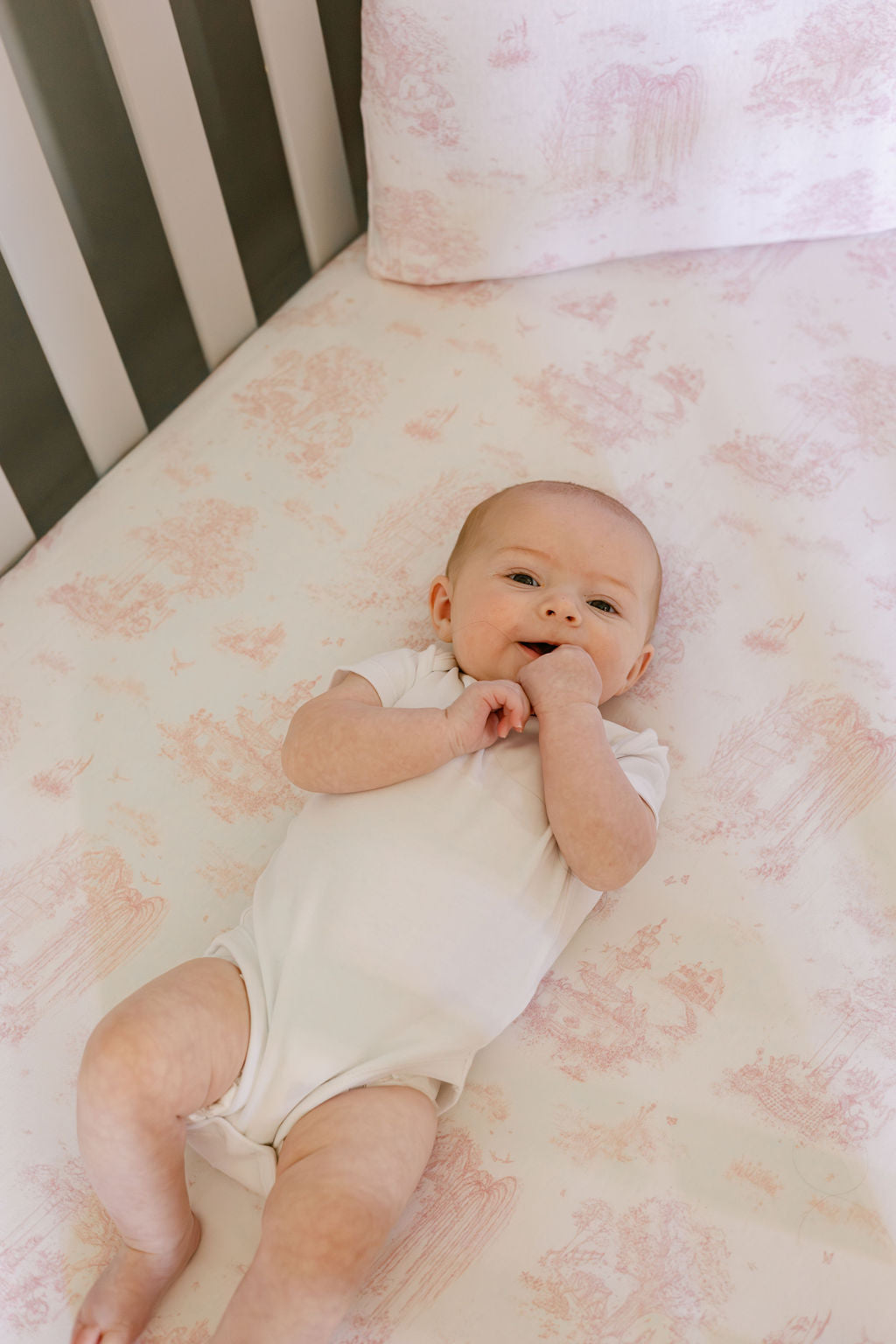 Spring Toile Pink Fitted Cot Sheet